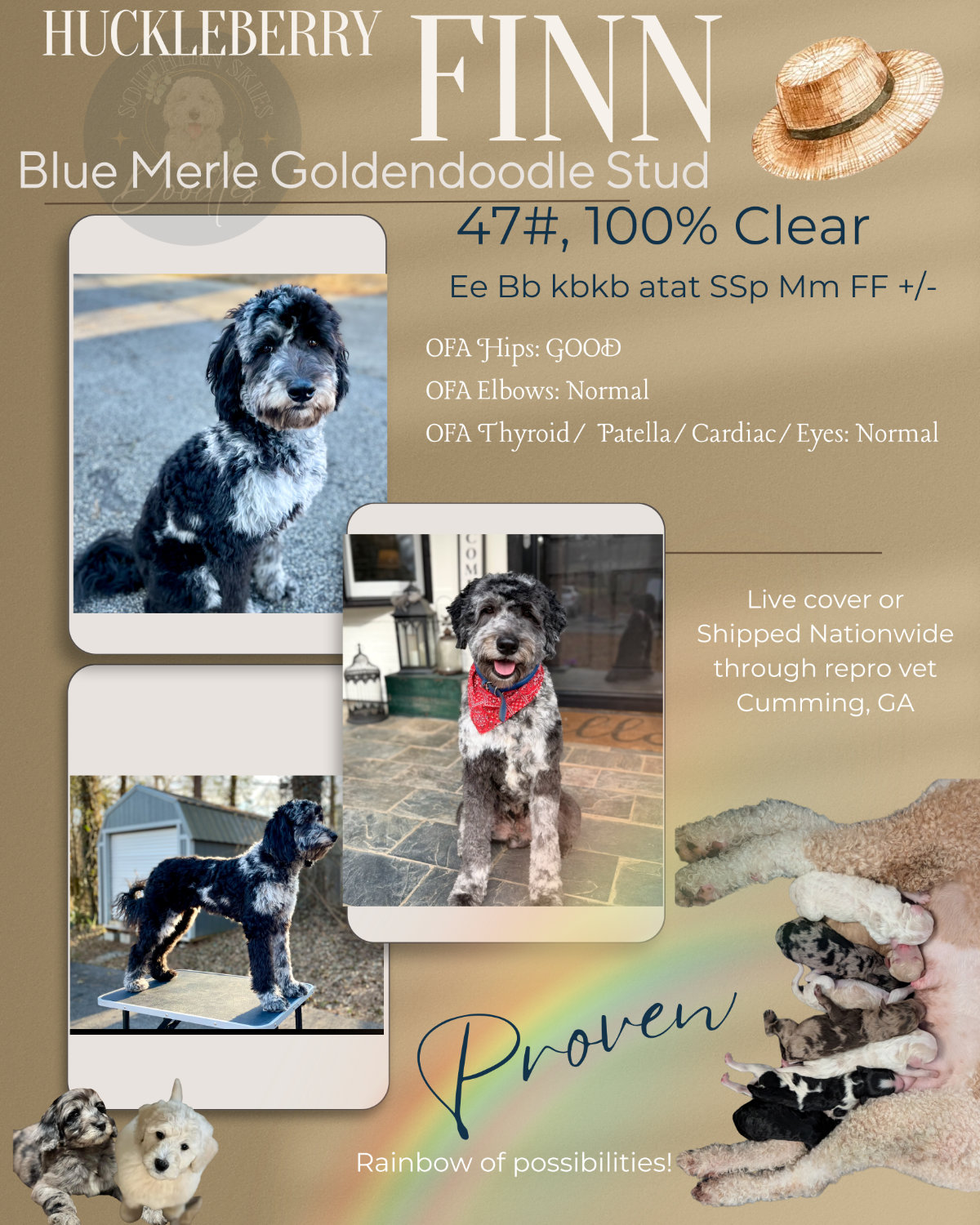 Huckleberry Finn flyer