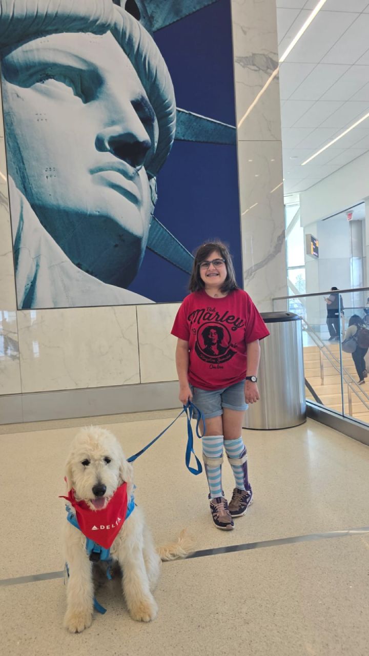 Milo the Mobility Support Service Dog