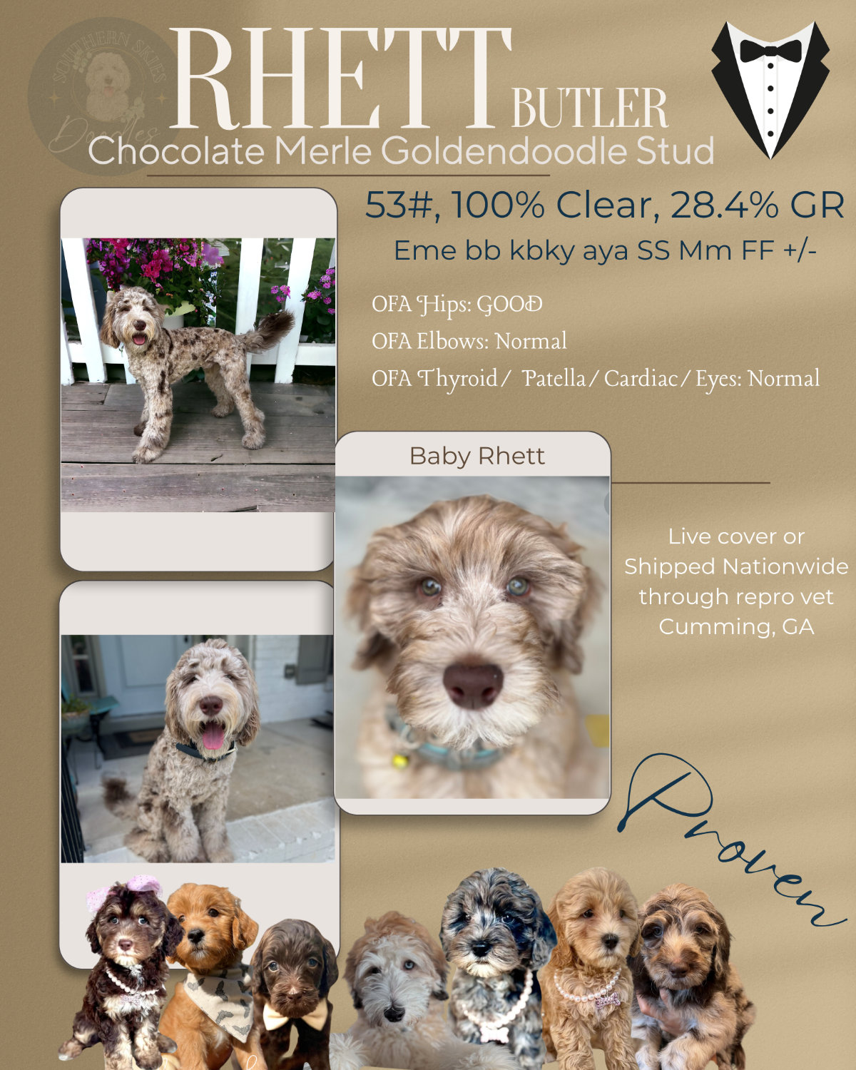 Rhett Butler flyer
